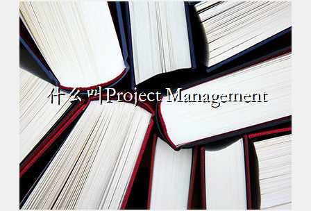什么叫Project Management